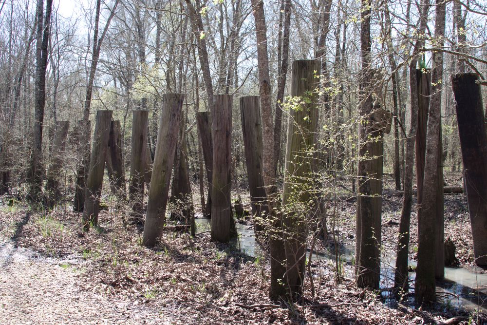 Nature trail at Mineola Nature Preserve