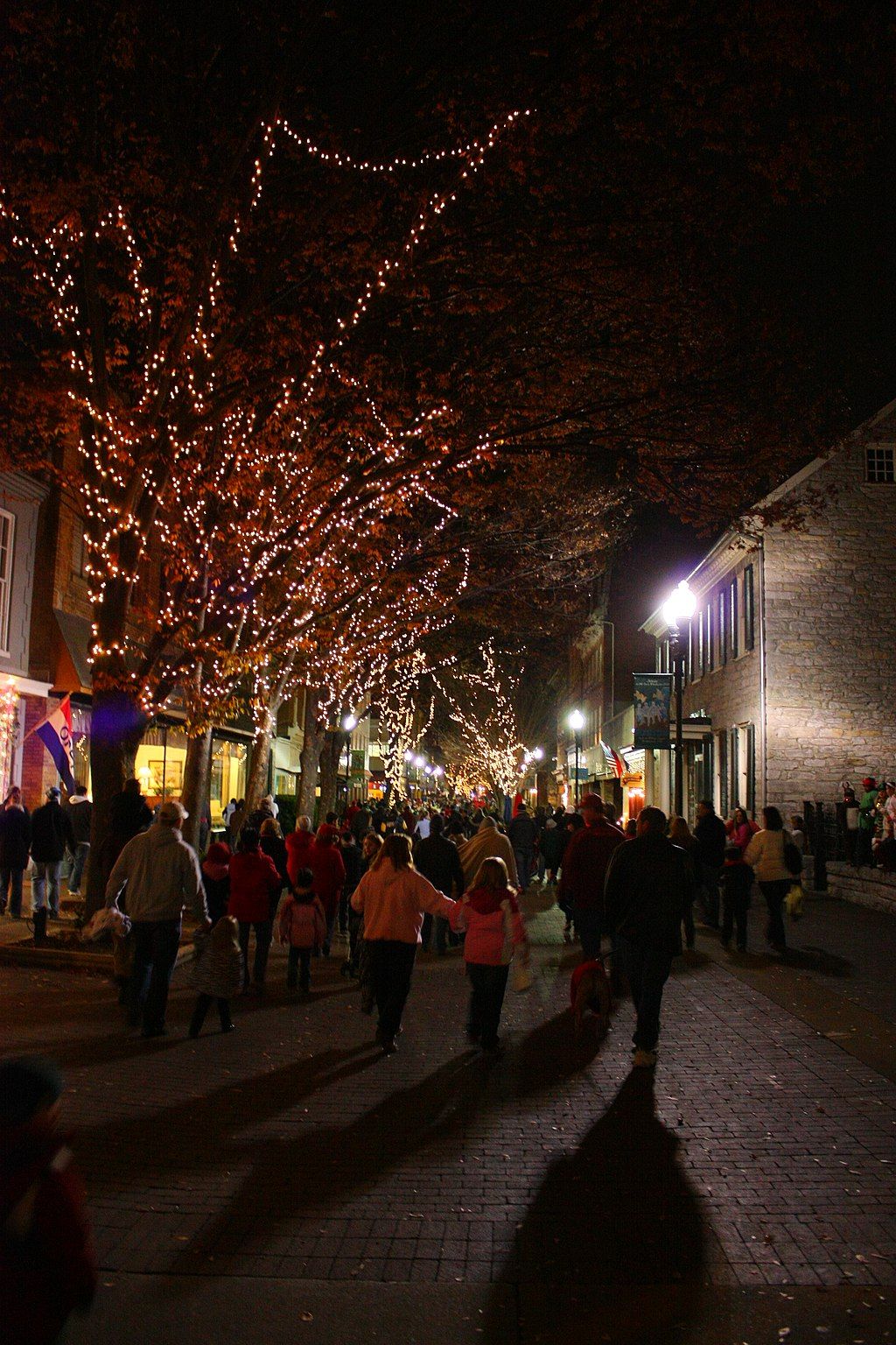 Night scene at Loudoun Street Pedestrian Mall
