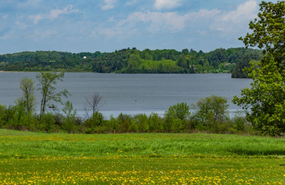 The waters of Shelburne Pond Natural Area