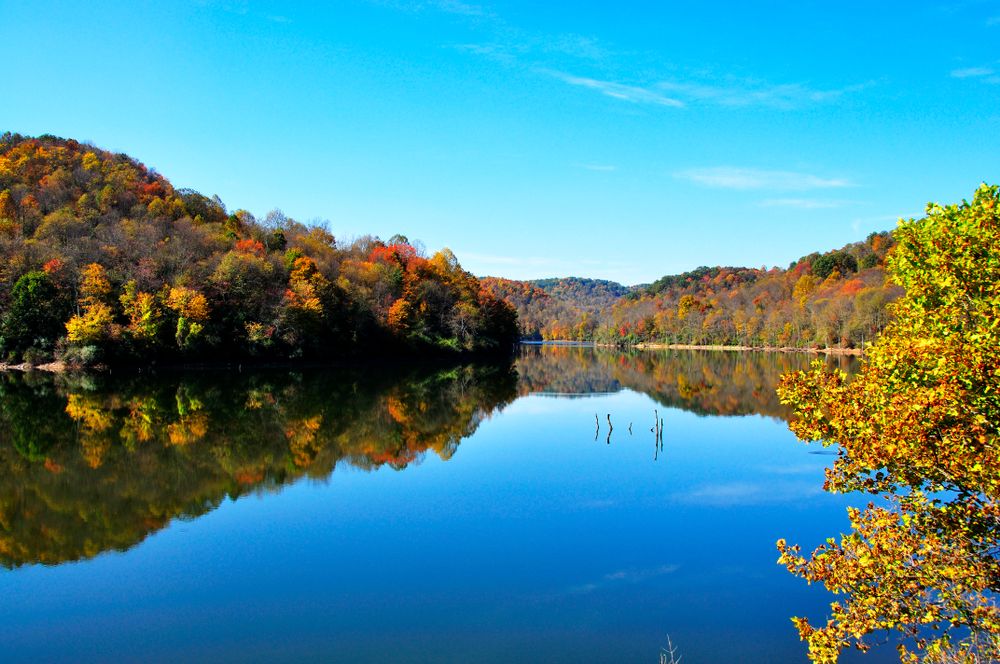 Scenic view of Stonecoal Lake Wildlife Management Area's water
