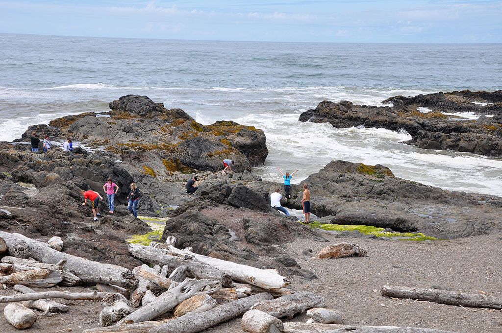 People admiring the view at Yachats State Recreation Area