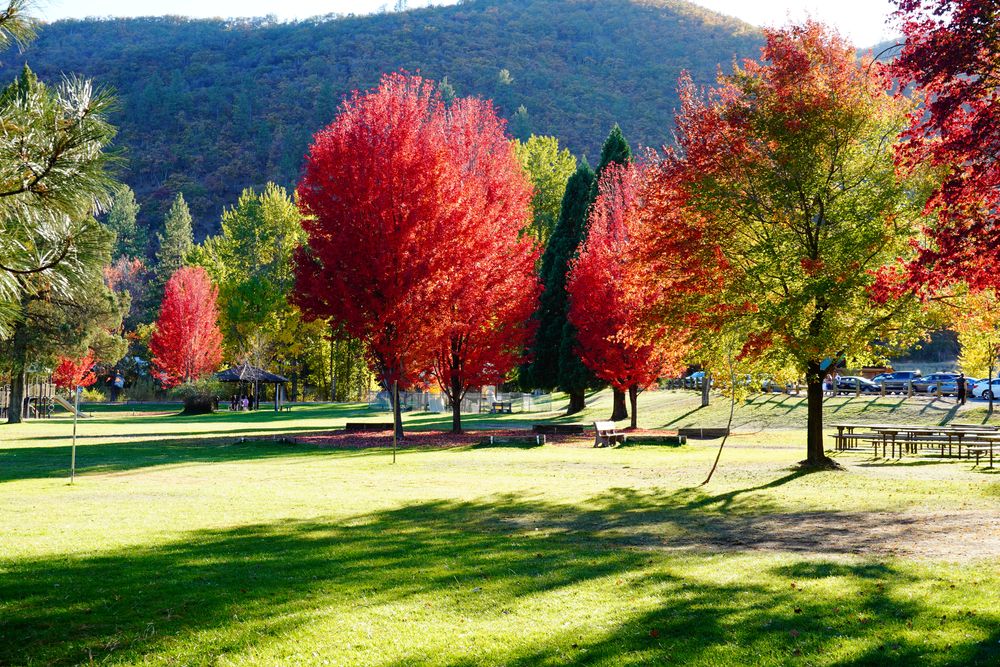 The grounds of Greenhorn Park