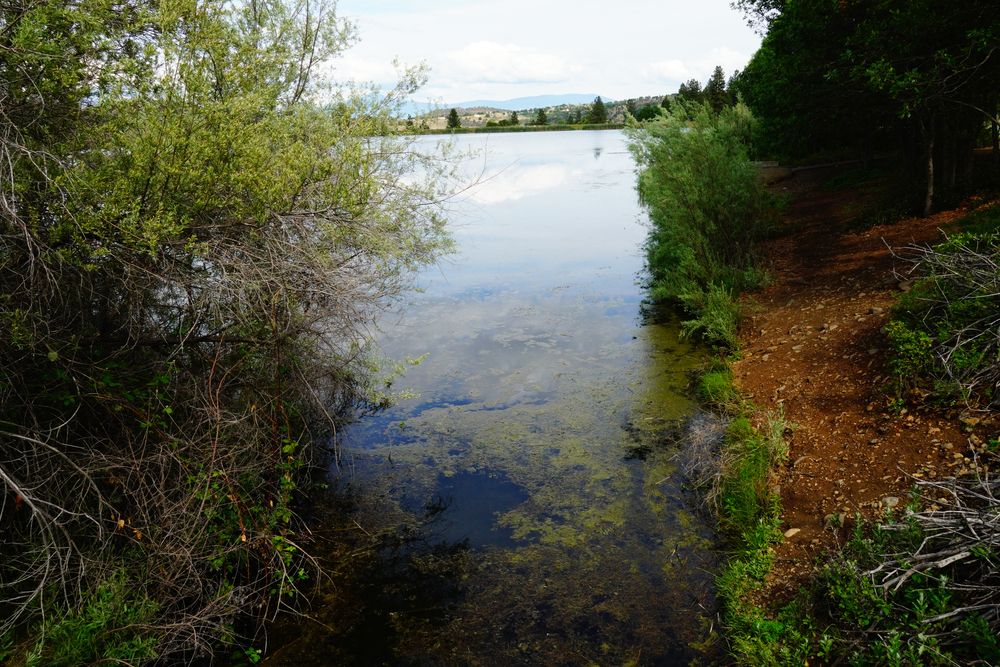 The waters of Greenhorn Park