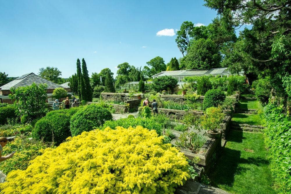 Lush greenery at Wave Hill