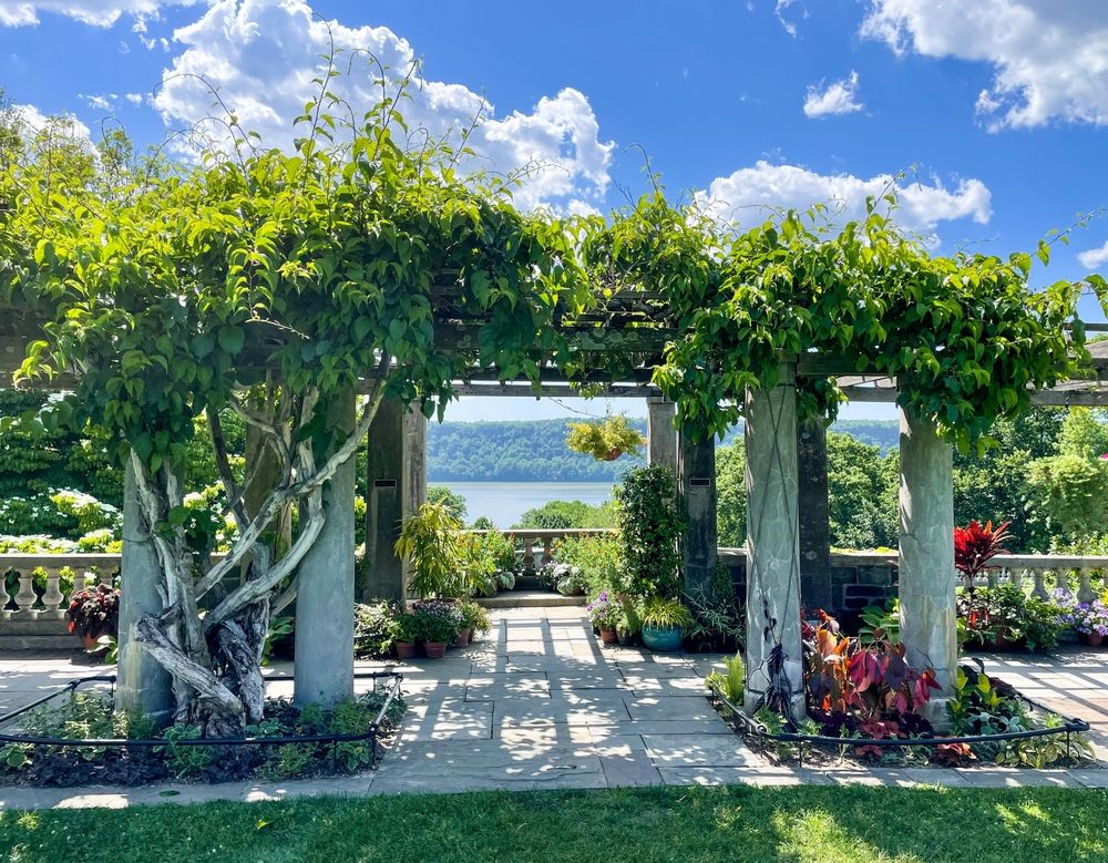 Pergola overlook at Wave Hill