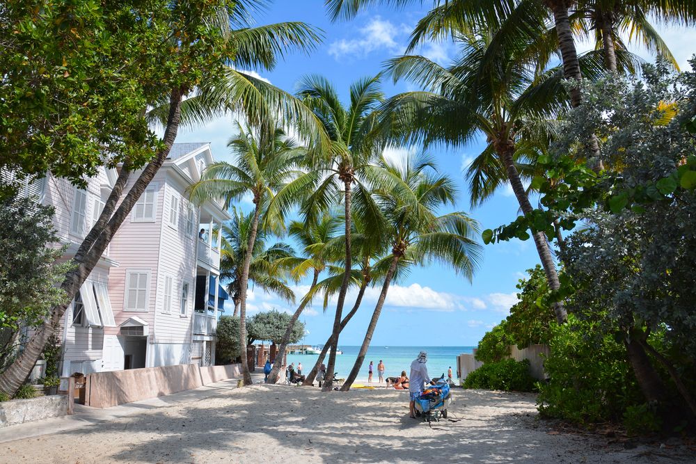 People in in Dog Beach, Key West