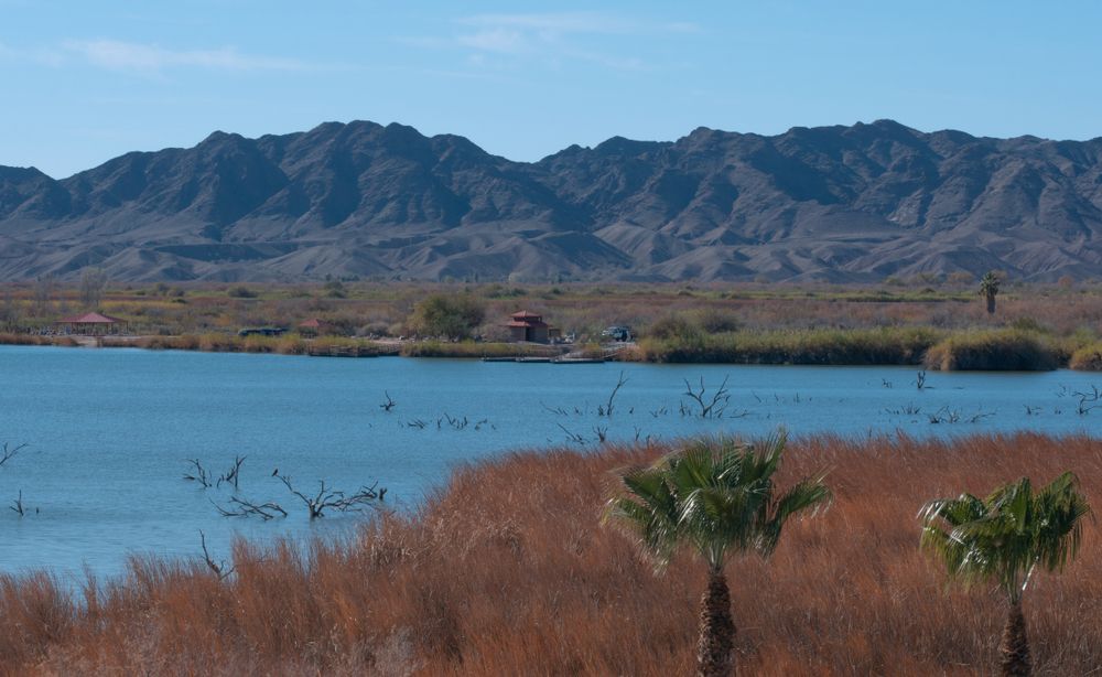 Mountains near Martinez Lake