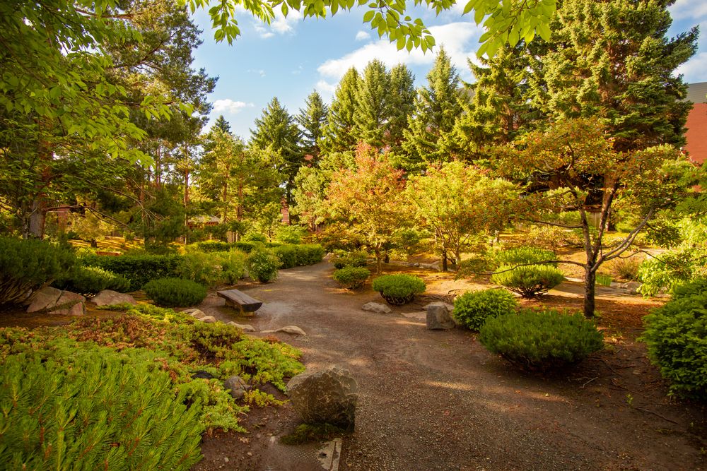 View of CWU Japanese Garden