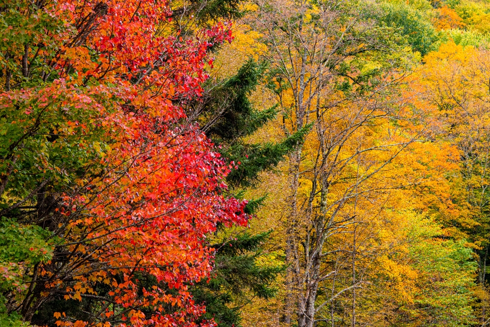 Mad River Valley in Vermont