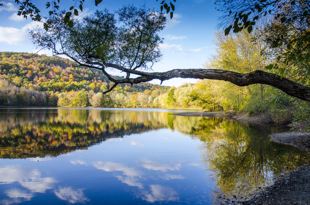 Ramapo Valley County Reservation in Bergen County, NJ