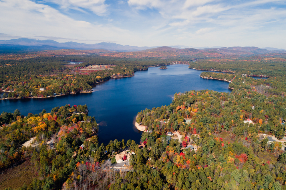 Sunken Forests of New Hampshire in New England