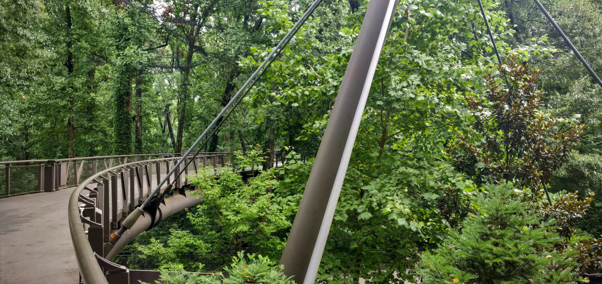 Atlanta Botanical Garden