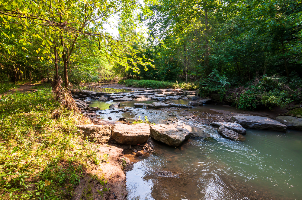 Frick Park