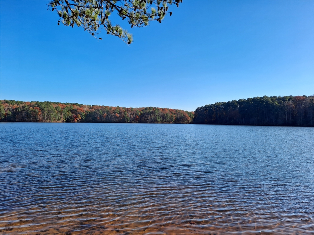 Lake Johnson Park