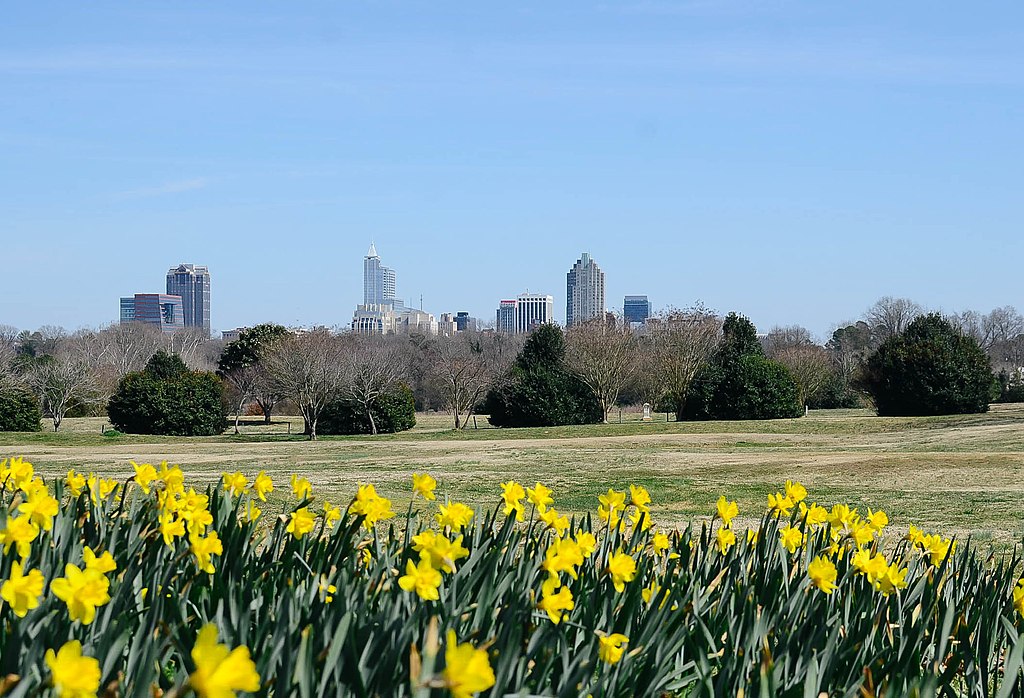 Dorothea Dix Park