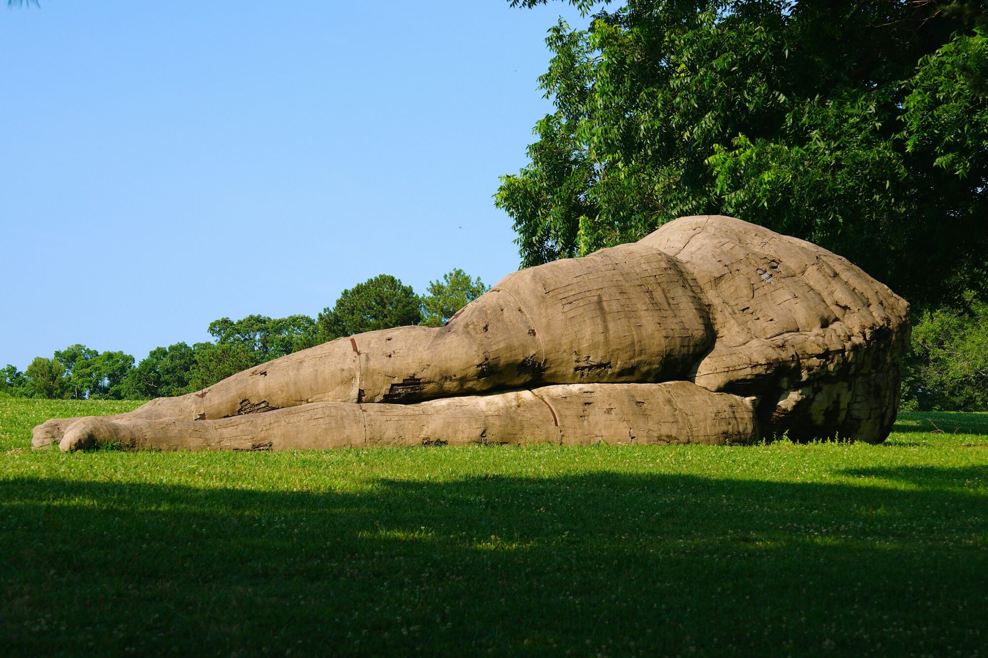 North Carolina Museum of Art
