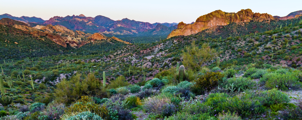 Tonto National Forest (Nearby)