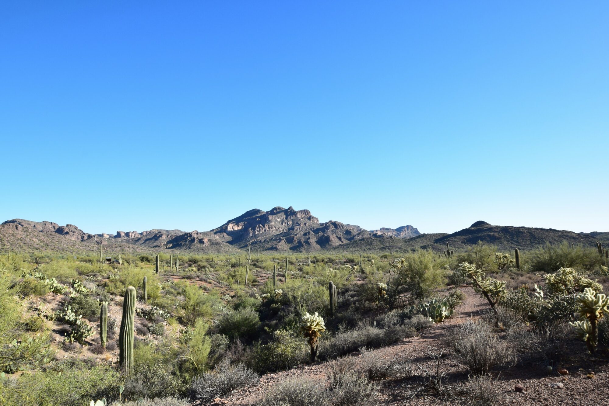 Usery Mountain Regional Park